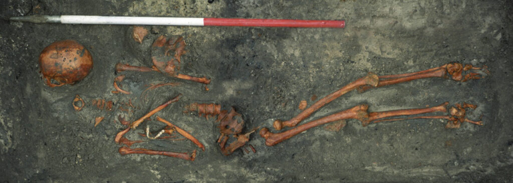 De non tijdens de opgraving. Foto: afdeling Archeologie, gemeente Den Haag.