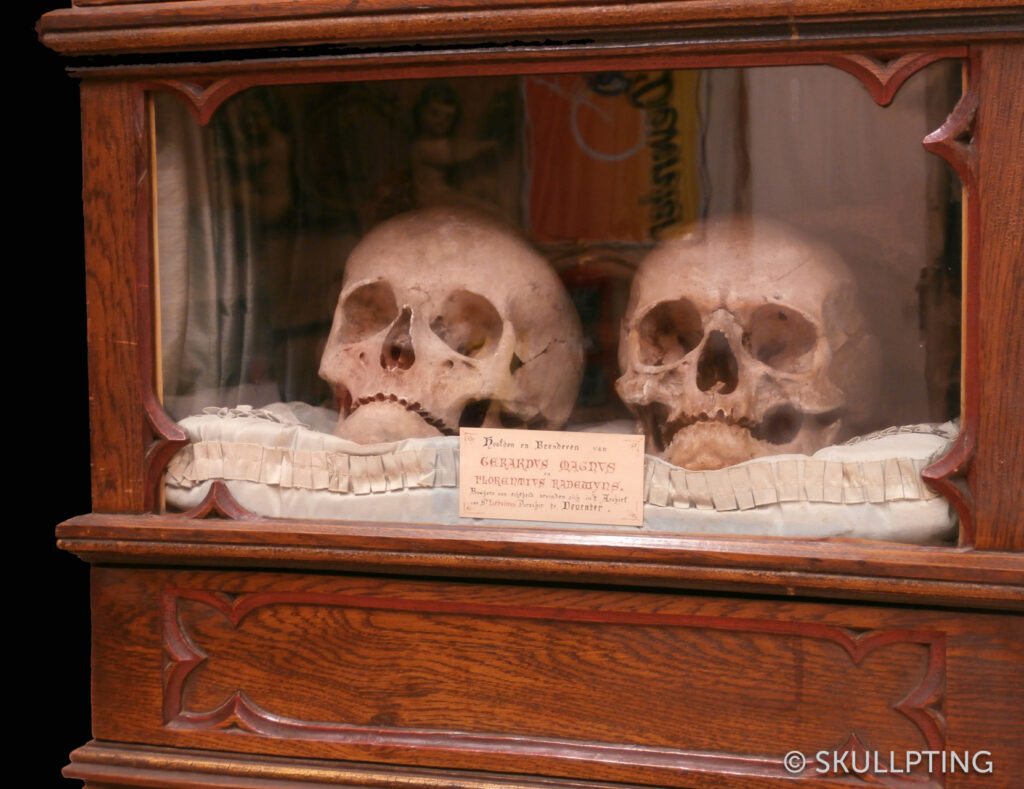 [en:]The skulls of Geert Groote and Florens Radewijns[nl:]De schedels van Geert Groote en Florens Radewijns[:]